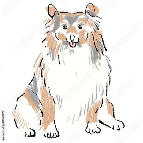 Plakat Sitting Shelty