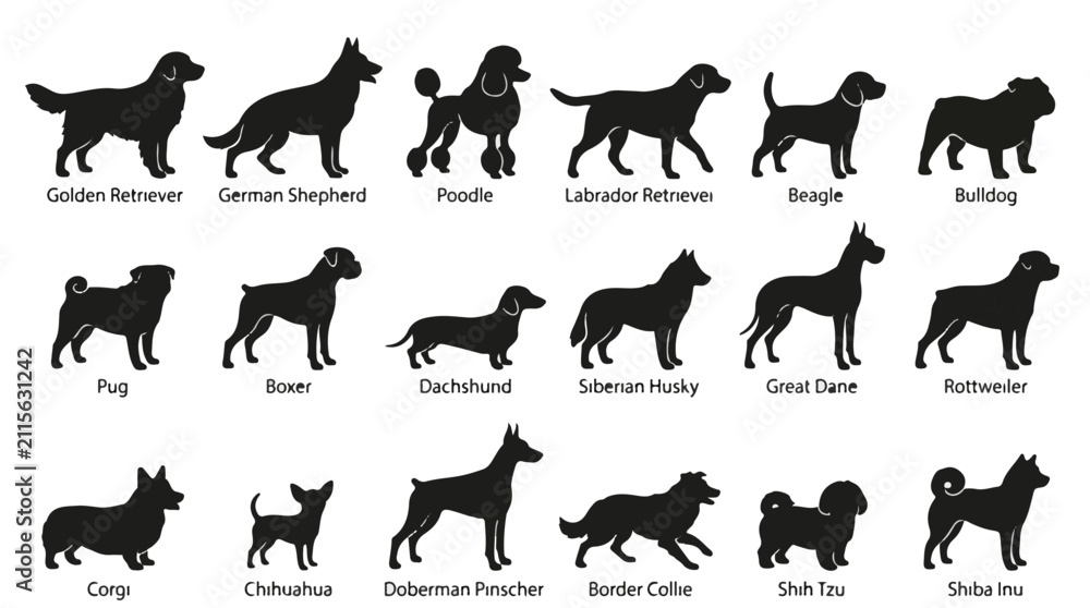 Obraz premium A set of 18 various dog breeds side view silhouette vector icon illustrations on a white background 