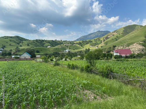 Photography rural landscape with green fields and mountains