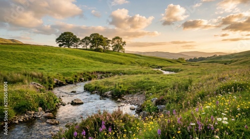 Sunlit Green Hills with Winding Stream and Wildflower Meadow at Sunset