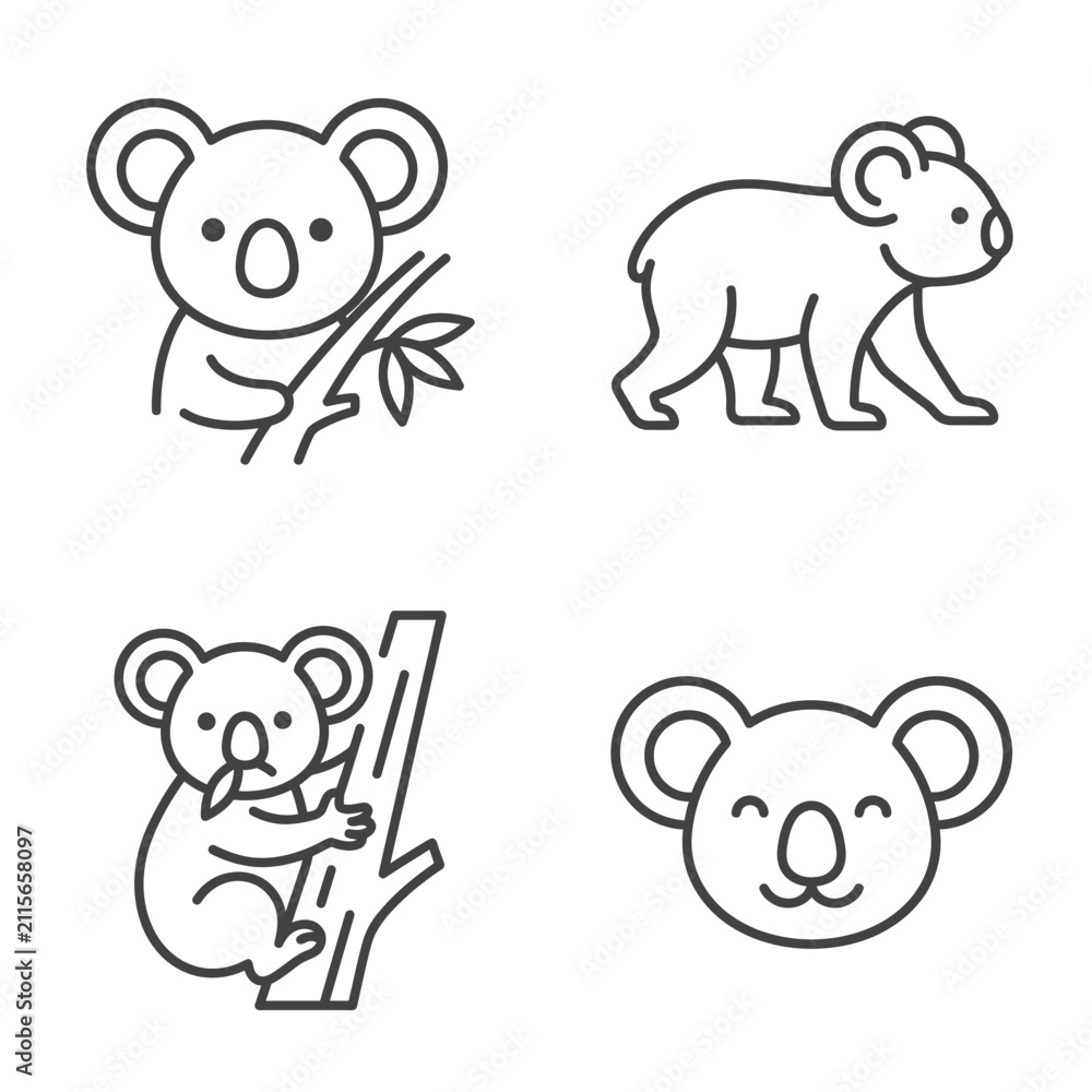 Obraz premium Koala bear animal cute marsupial.