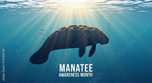 Gentle Manatee Swims Through Sunlit Ocean Rays - Serene Aquatic Encounter
