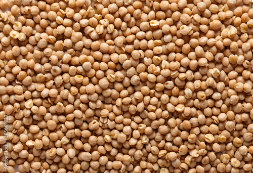 Dried chickpeas background ...
