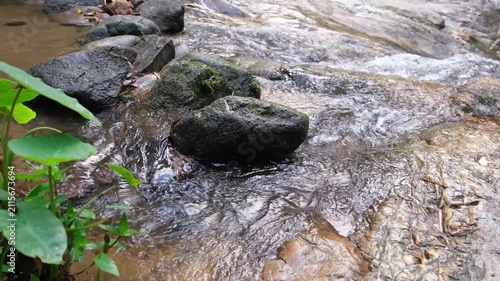 Water stream in the forest