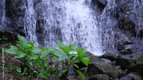 River flowing through the waterfall in the forest