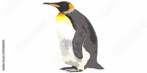 Fotografía King Penguin Illustration Watercolor Style On White Background