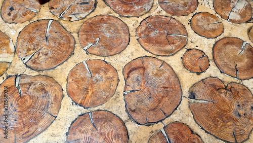 Foto A top-down view of a rustic floor or pathway paved with round wood log slices embedded in grout, showing distinct tree rings and grain textures