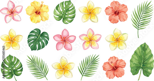 Tropical Flowers and Leaves Set Featuring Hibiscus Plumeria Frangipani Monstera and Palm Elements for Summer Floral Graphic Designs