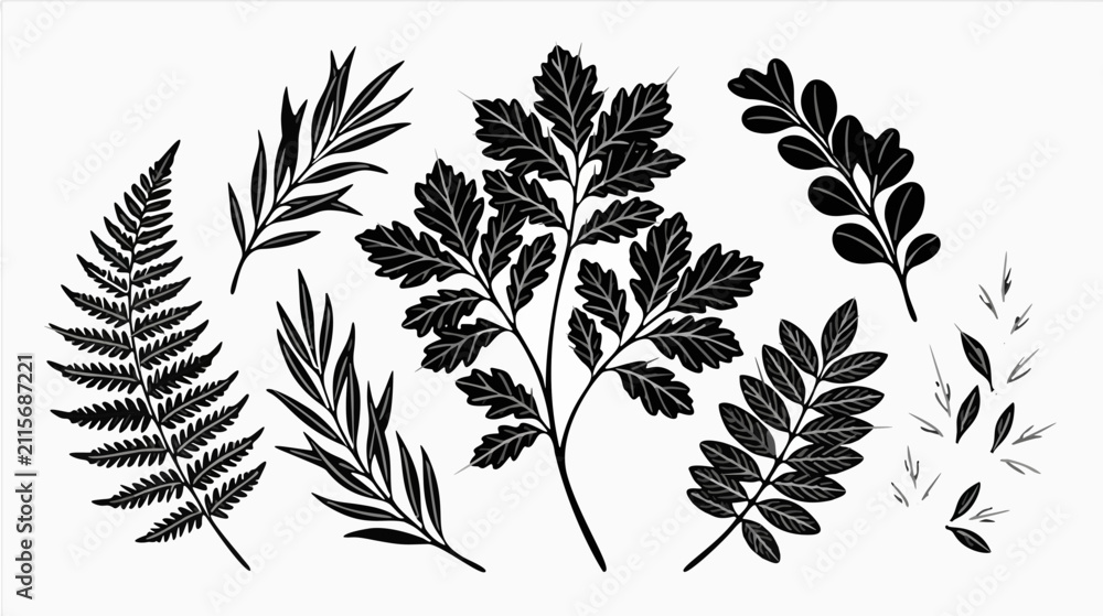 Fototapeta premium Collection of black autumn leaf and branch line drawing elements isolated on white background silhouette vector illustration set