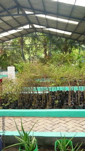 Urban farming in a city environment, promoting sustainable agriculture, local food production, and green living.