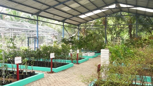 Urban farming in a city environment, promoting sustainable agriculture, local food production, and green living.