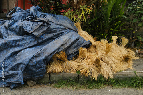 Canvastavla Bundled rice sheaves on a sidewalk partially covered with a tarpaulin