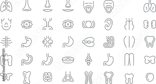 Foto Human internal organ icons collection representing medical anatomy biology and healthcare signs
