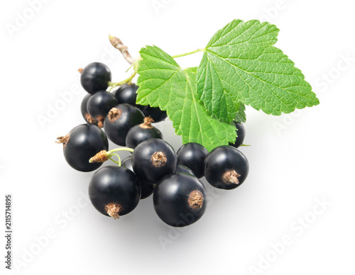 Johannisbeeren