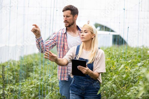 Fotografie Two farmers working in a greenhouse, inspecting plants and managing crops with a