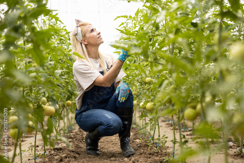Canvastavla Young woman farmer inspecting green tomatoes in a large greenhouse, focusing on