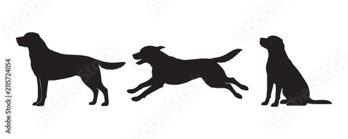Labrador retriever dog breed black silhouette vector
