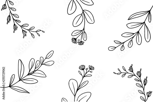 Conjunto de botánicos dibujados a mano con varias hojas y flores pequeñas en un estilo de línea minimalista