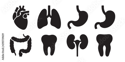 Bild auf Leinwand Collection of various human internal body organs including stomach colon tooth kidney and lung icon