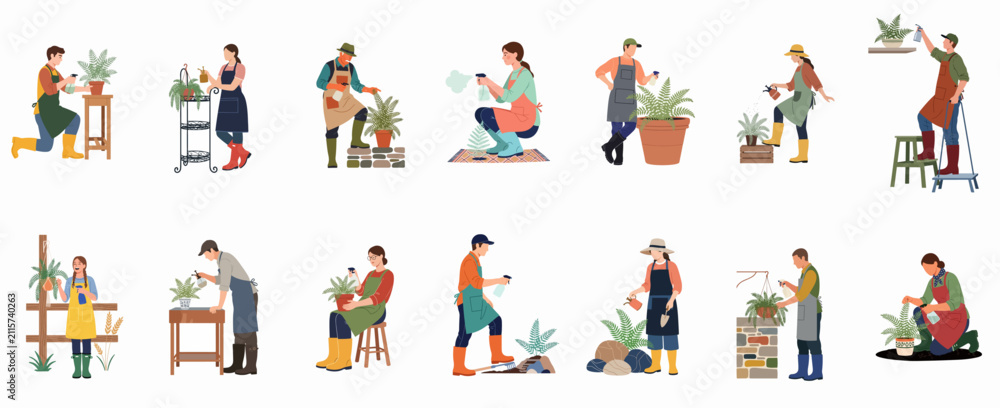 Obraz premium Flat vector illustration set of diverse people gardening, watering, and caring for potted ferns and houseplants, isolated on white background.