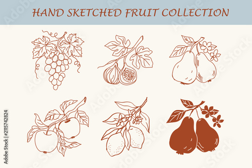 Hand sketched collection of diverse fruits on branches with leaves and flowers