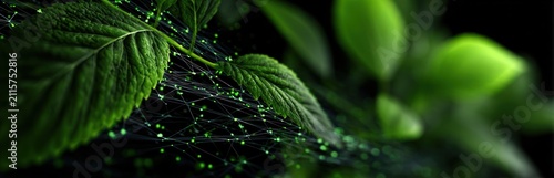 Close up of vibrant green leaves with network connections abstract nature concept