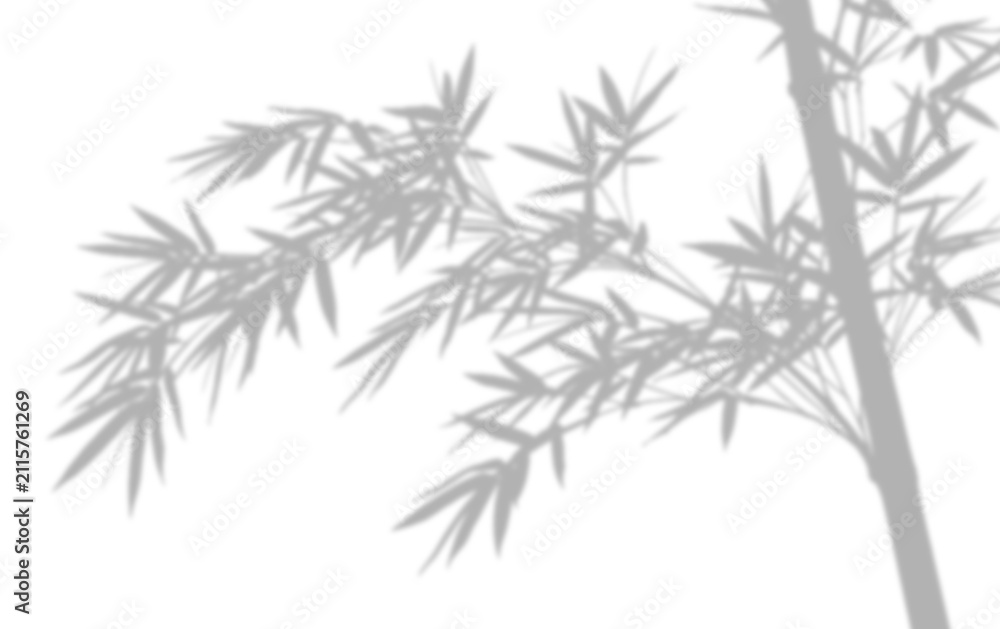 Fototapeta premium Shadow of bamboo leaves and stem isolated on transparent background