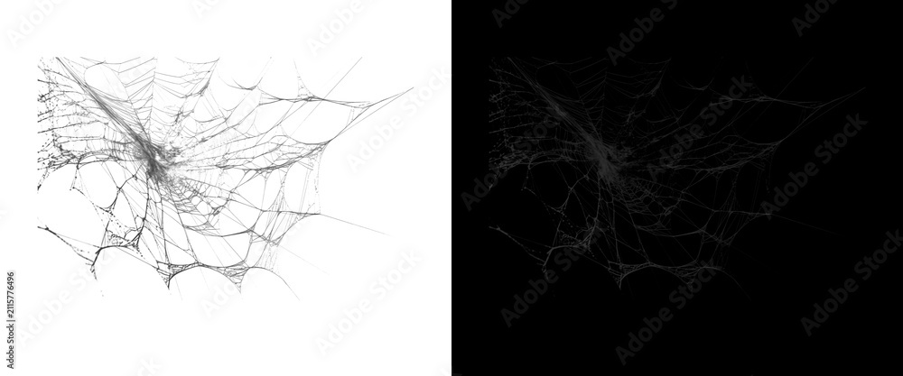Fototapeta premium Spooky cobweb texture on white and black background, realistic spider web overlay for Halloween design, intricate silk thread pattern for horror atmosphere