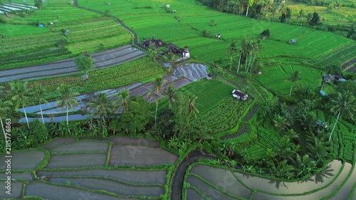 Drone vertical reveal of rice terraces with Mt. Agung and blue sky, Bali, Indonesia