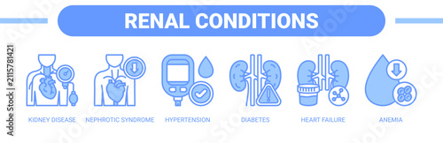 Renal Conditions web banner icon vector illustration concept with icons of kidney disease, nephrotic syndrome, hypertension, diabetes, heart failure, and anemia. 