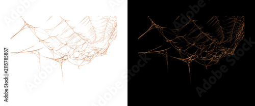 Bild auf Leinwand Intricate spider web texture on black and white backgrounds, fragile cobweb desi