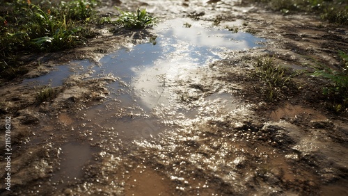 Wet muddy ground featuring reflective water puddle, shimmering sunlight, and fresh grass surrounding natural landscape, 
