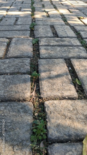 Aged Concrete Brick Walkway Texture