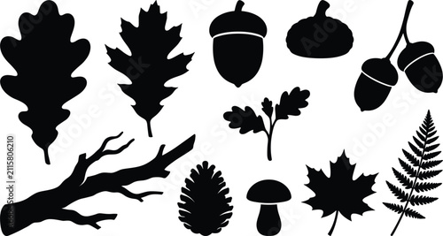 Cuadro en lienzo Leaves and Acorns with Ferns and Branches in Black Silhouette Style Featuring Na