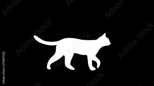 Walking cat silhouette hand drawn animation, feline animated motion graphic, domestic pet cartoon loop, moving kitty drawing illustration, overlay elements