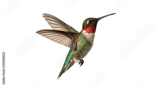 Konstfotografi Beautiful small hummingbird hovering with fast moving wings isolated on transpar