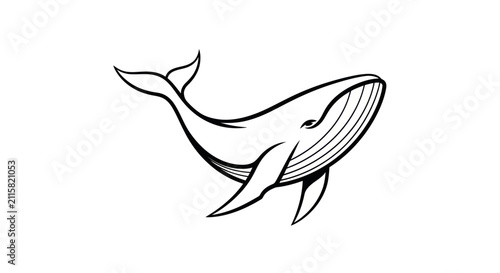 Canvastavla Elegant whale illustration vector graphic of aquatic mammal on white