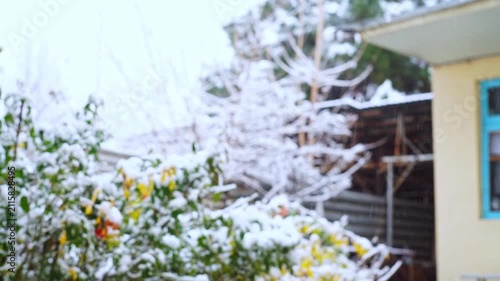4x slow motion video of a cloudy winter day with white snow falling against the background of dark walls, roofs and crowns of pines and other trees. Winter time in nature