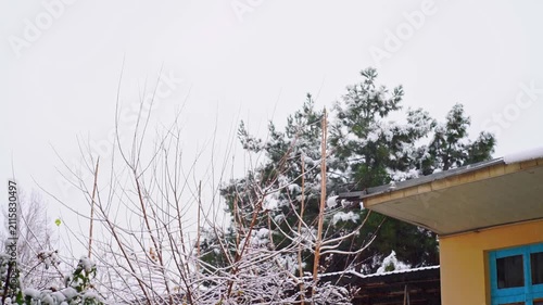 A real-time video captured from first-person perspective on a cloudy winter day with falling white snow against a backdrop of dark walls, roofs, and the crowns of pine and other trees. Winter nature