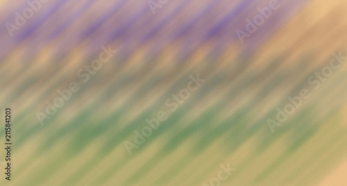 Soft purple lavender field with golden grass waves