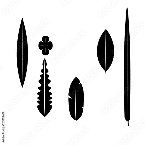 Illustration of leaf shapes 