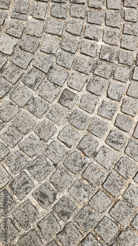 Neatly and symmetrically arranged concrete pavers set amidst a spacious park, bathed in invigorating sunlight—an ideal spot for family recreation and exercise, fostering family bonding and outdoor act