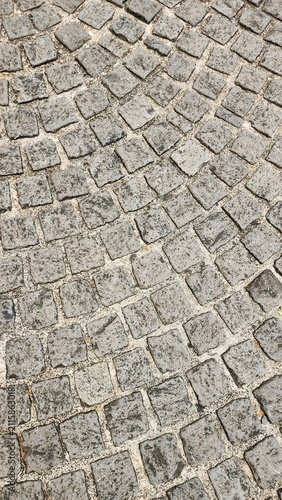 Neatly and symmetrically arranged concrete pavers set amidst a spacious park, bathed in invigorating sunlight—an ideal spot for family recreation and exercise, fostering family bonding and outdoor act