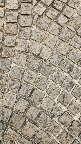 Neatly and symmetrically arranged concrete pavers set amidst a spacious park, bathed in invigorating sunlight—an ideal spot for family recreation and exercise, fostering family bonding and outdoor act