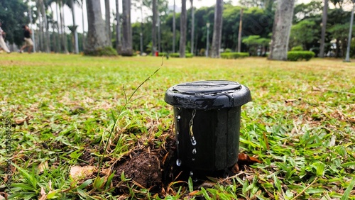 A garden drip irrigation system that waters plants at specific intervals, ensuring their water needs are met even though the public garden is exposed to the scorching tropical sun.