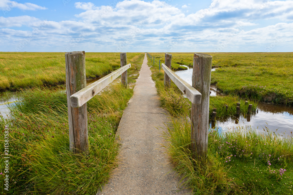 Fototapeta premium Path through the salt marsh at Sankt Peter-Ording, Germany
