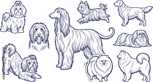 Obraz na płótnie Hand Drawn Purebred Dog Breed Vector Collection Featuring Afghan Hound, Shih Tzu