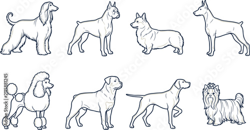 Fotografie Hand Drawn Purebred Dog Breeds Vector Collection Featuring Afghan Hound, Boxer,
