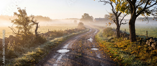 Tranquil countryside landscape with morning mist and early autumn leaves at dawn