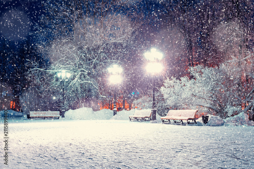 Fotografie Winter city night deserted park - snowy benches under frosty winter trees lit by